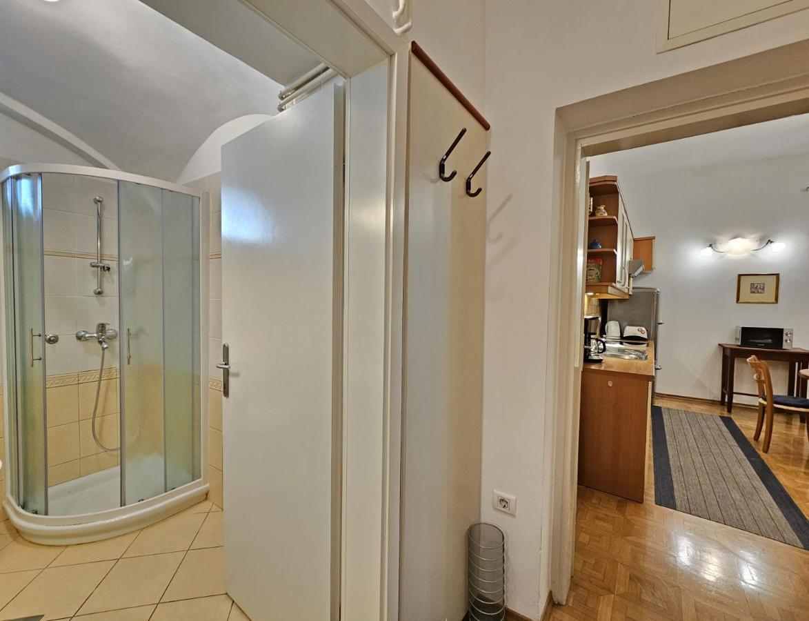 Spacious Central Studio Nika 2 Tour As לובליאנה מראה חיצוני תמונה